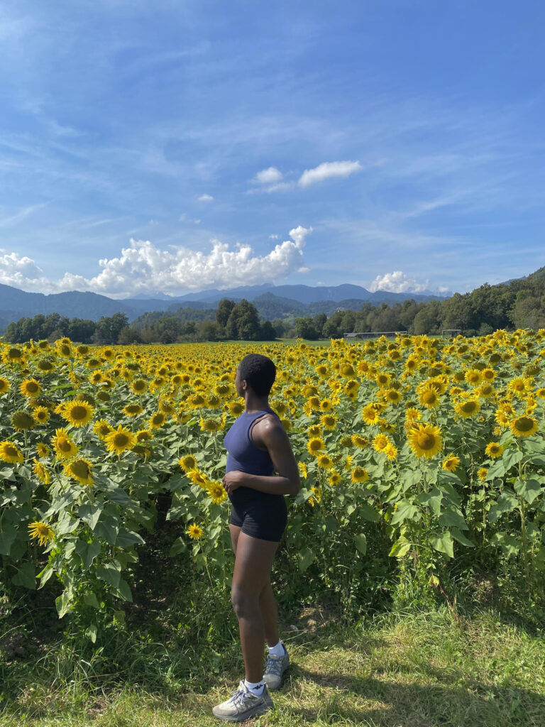 sunflower field in Lake Bled Slovenia